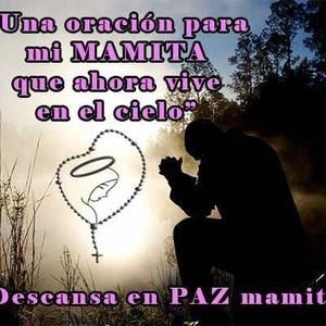 Meet your Posher, Hector